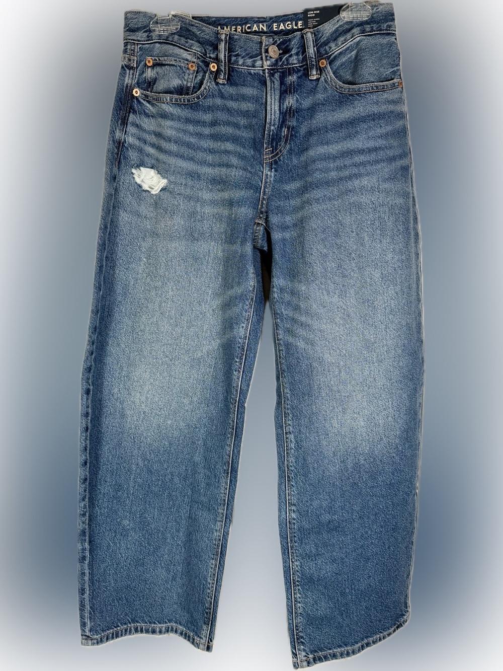 American Eagle low rise Baggy Barrel jeans 2 short NWT